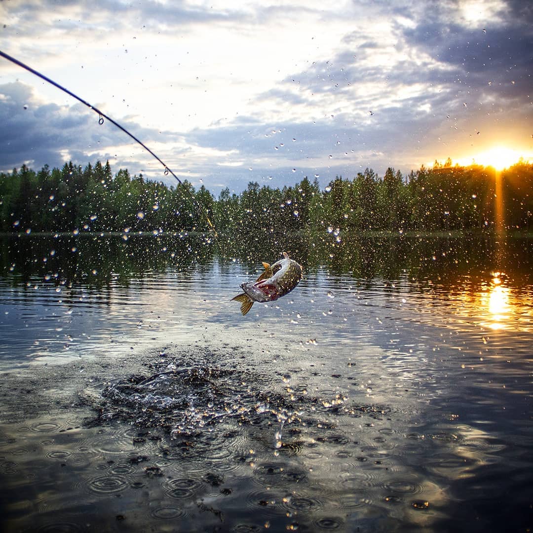 Показали, як виглядає найказковіше місце на Землі: фото, від яких перехоплює дух